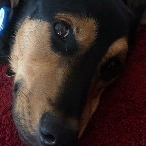 Meet your Posher, Sydne